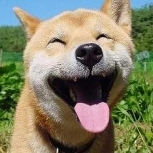 高清乱码🔞❌❌❌粪便小说
